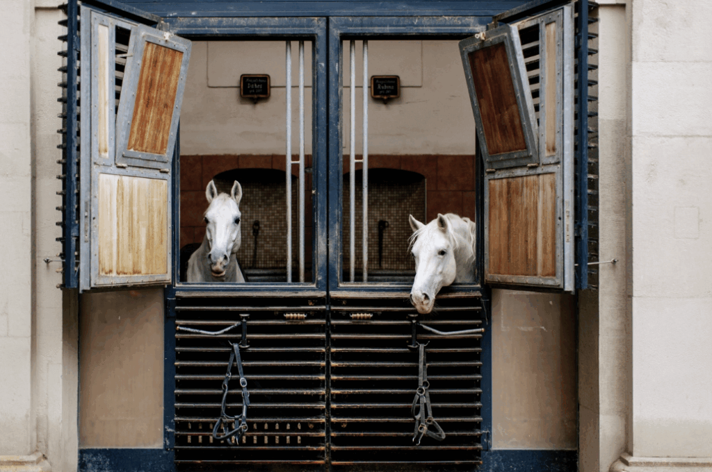 Screenshot 2026 01 26 114659