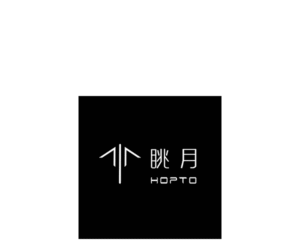 117 Hopto Development Limited 600x500 logo